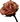 A rose